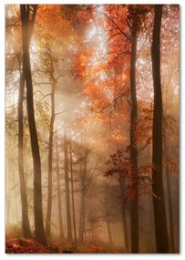 Fotografie imprimată pe sticlă pădure în toamna