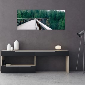 Tablou - Pod spre vârfurile copacilor (120x50 cm)