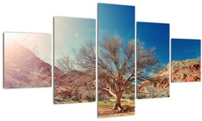 Tablou cu cu copac în deșert (125x70 cm), în 40 de alte dimensiuni noi