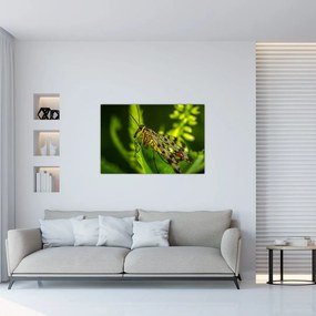 Tablou cu omide (90x60 cm)