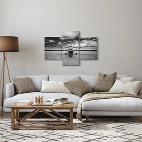 Tablou - Avion alb-negru și alb-negru (90x60 cm)