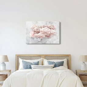 Tablou - Flori roz pe perete (90x60 cm)