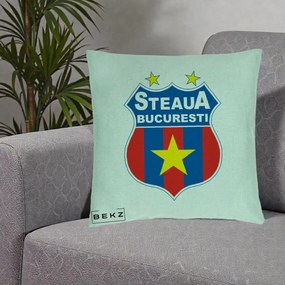 Perna Personalizata Steaua Bucuresti Fotbal, 40x40 cm, Verde Menta, Husa Detasabila, Perna Inclusa, BEKZ®