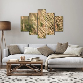 Tablou - Cereale (150x105 cm)