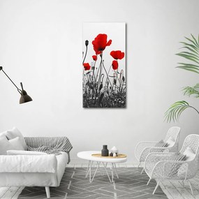 Print pe pânză Wildflowers maci
