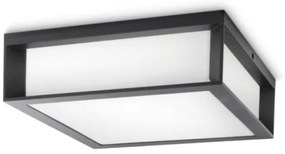 Plafonieră de exterior SKIES 2xE27/14W/230V IP44 antracit Philips