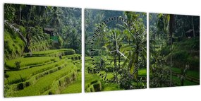 Tablou cu terasele cu orez Tegalalang, Bali (cu ceas) (90x30 cm)