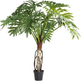 Planta decorativa Monstera 175cm