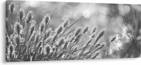 Tablou - Iarbă moale bej N⁰1 (120x50 cm)