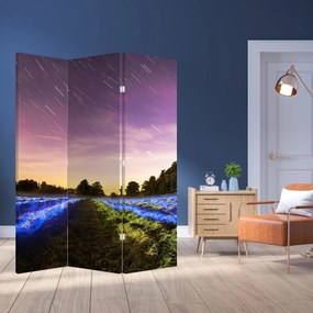 Paravan - Câmp colorat (126x170 cm)