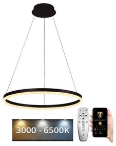 Lustră LED dimabilă pe cablu Brilagi CIRCLE LED/42W/230V 3000-6500K + telecomandă