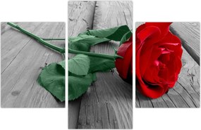 Tablou - Trandafir roșu cu tulpină verde (90x60 cm)