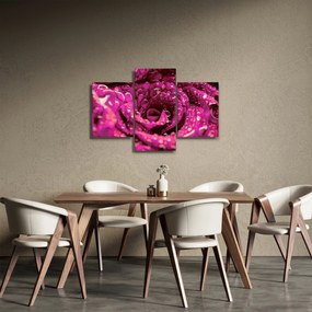 Tabloul cu floarea trandafirului roz (90x60 cm)