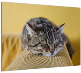Tablou  cu pisica pe fotoliu (70x50 cm), în 40 de alte dimensiuni noi