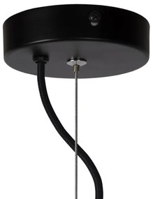 Lustră pe cablu ALISTAIR 1xE27/40W/230V Lucide 20418/01/31