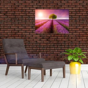 Tablou pe sticlă câmp cu lavandă (70x50 cm)