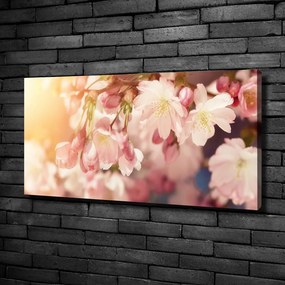 Print pe canvas Flori de cireș