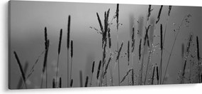 Tablou - Lamele de iarbă (120x50 cm)