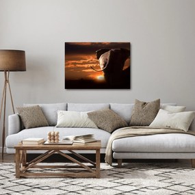 Tablou cu elefant (70x50 cm)