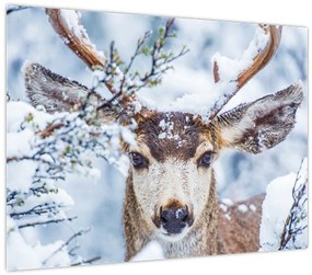 Tablou - Cerbul catâr (70x50 cm)