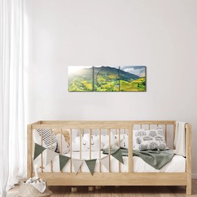 Tablou plantație (cu ceas) (90x30 cm)