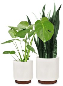 Enspijk, ghivece pentru flori, set de 2 bucăți, 2 mărimi, lemn de nuc, Polystone, produse manual