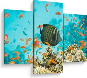 Tablou lumii submarine (90x60 cm)