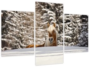 Tablou - Cal în peisaj de iarnă (90x60 cm)