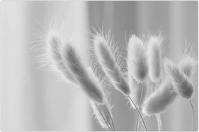 Tablou - Iarbă de coadă de iepure (90x60 cm)