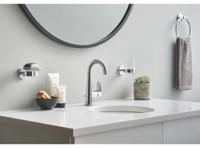 Grohe Essentials sapuniera perete crom-transparent 40444001