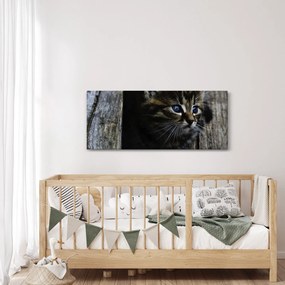 Tablou cu pisicuța (120x50 cm)