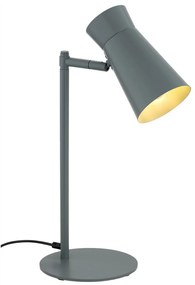 Lampa cu spot directionabil LORD 8872 salvie