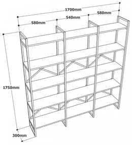Biblioteca Living VG6-LB, PAL Melaminat, Negru / Auriu