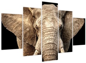 Tablou - Elefant african (150x105 cm)