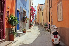Tablou cu strada din Sardinia (90x60 cm)