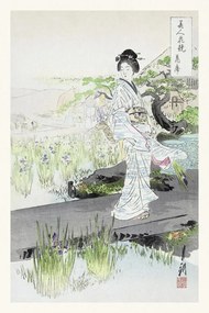 Reproducere Iris Garden, Ogata Gekko