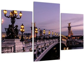 Tablou - Podul lui Alexandru al III.-lea din Paris (90x60 cm)