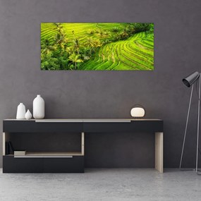 Tablou - Terase de orez (120x50 cm)