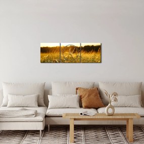 Tablou iarba cu rouă (cu ceas) (90x30 cm)