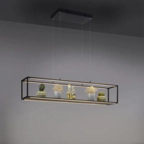 Lustră LED dimabilă pe cablu CONTURA 4xLED/8W/230V Paul Neuhaus 2441-18