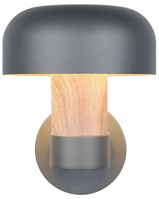 Corp de iluminat pentru exterior, de perete (înălțime 24,5 cm) Fraser – Trio