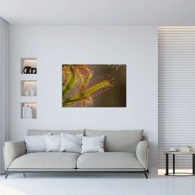 Tablou cu plantă (90x60 cm)