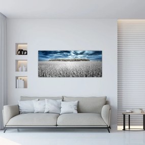 Tablou cu câmp (120x50 cm)