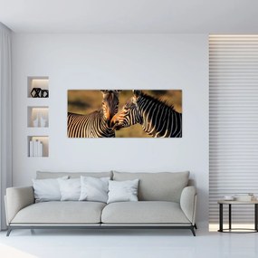 Tablou - Două zebre (120x50 cm)