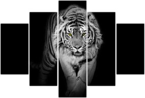 Tablou - Tigru cu ochi galbeni (150x105 cm)