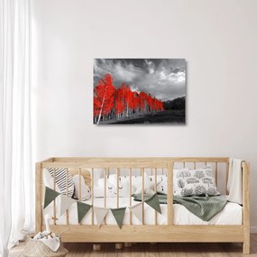 Tablou pe sticlă - Copaci în culorile toamnei (70x50 cm)