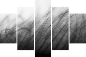 Tablou - Iarba în vânt (150x105 cm)