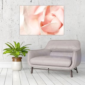 Tablou - Trandafiri (90x60 cm)