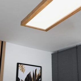 Brilagi - Corp de iluminat LED pentru baie WOODY FRAME LED/50W/230V 120x30 cm IP44 stejar