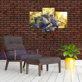 Tablou - Bufniță în copac (90x60 cm)